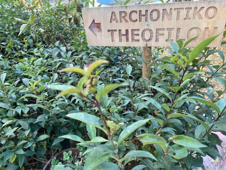 塞萨洛尼基Archontiko Theofilou #2 With Private Parking Space公寓 外观 照片
